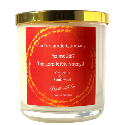 Psalms 28:7 The Lord is My Strength